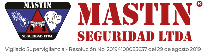 MASTIN SEGURIDAD